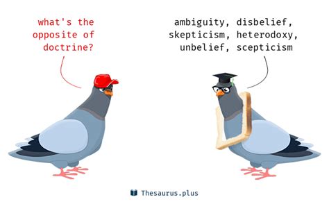 doctrine antonym|opposite of doctrine meaning.